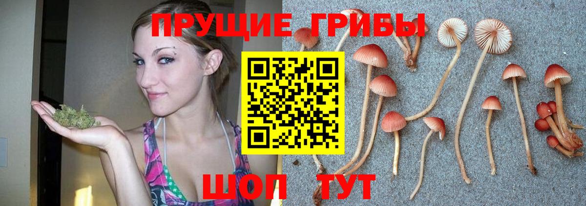 Галлюциногенные грибы прущие грибы Коркино